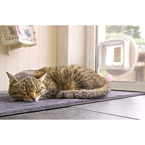 Sureflap Dualscan Microchip Cat Door Review