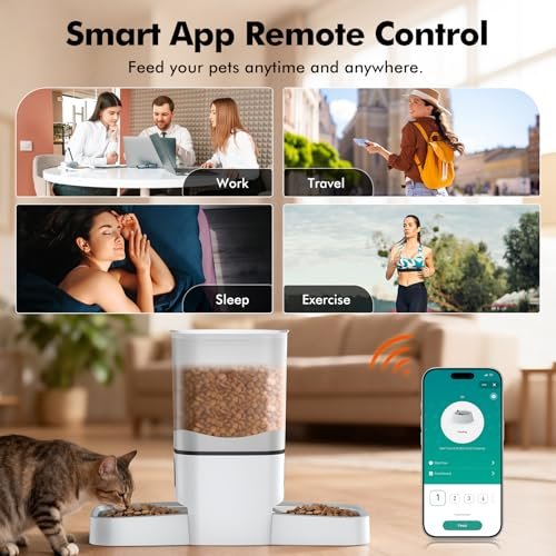 DAAMENT Automatic Cat Feeder Review
