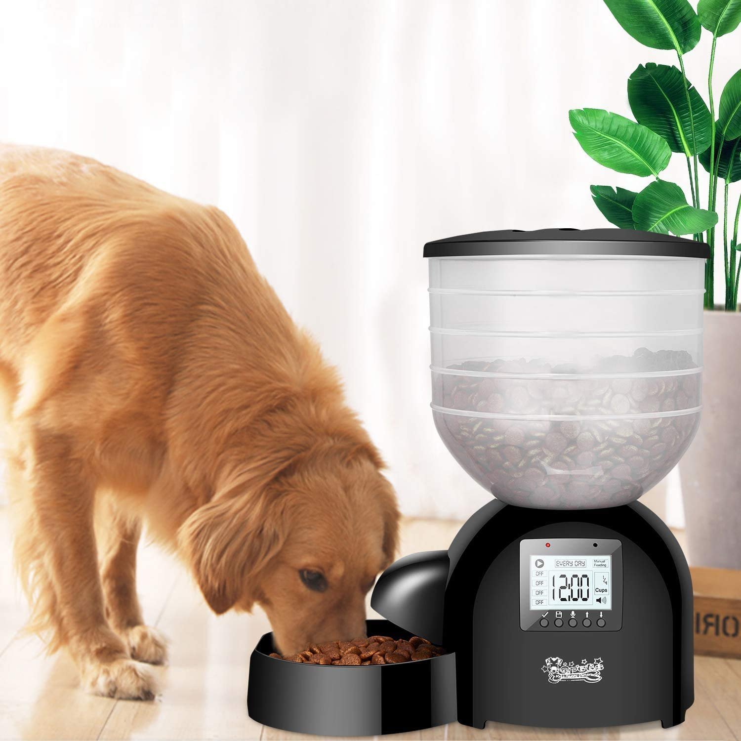 How To Reset AF200 Automatic Pet Feeder