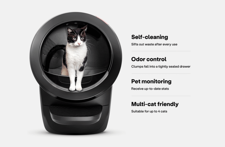 How To Get Cat To Use Automatic Litter Box