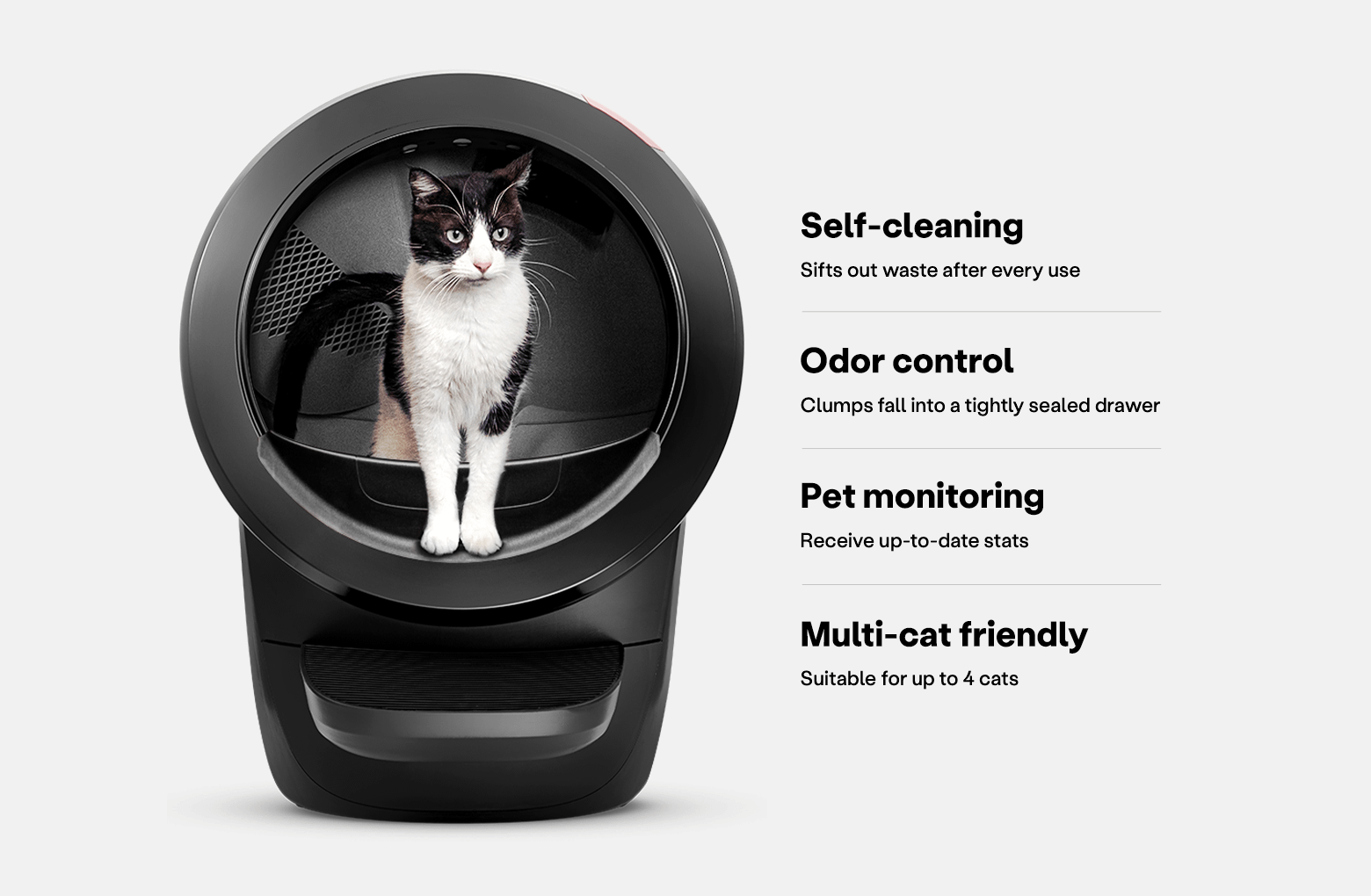How To Get Cat To Use Automatic Litter Box